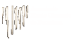 l'Associació Muzio Clementi de Barcelona,